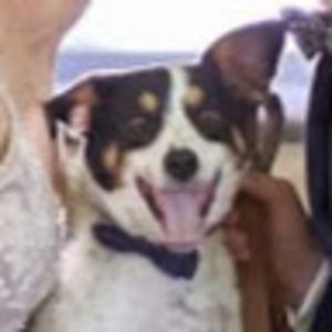 Meet your Posher, Joanna